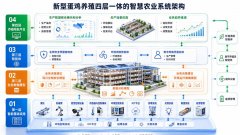 了逾越真假鸿沟、正在泥地盘里创制价值的实本